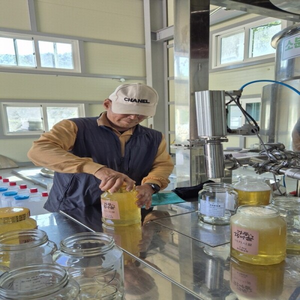 우리들농원,우리들농원 천연야생화꿀2.4kg100%자연꿀 산지직송