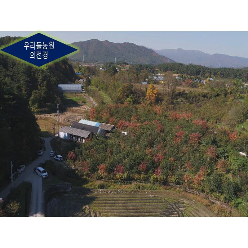 우리들농원,간식용1호 곶감 (총중량2kg 25g70개,30g60개말랑한곶감 한입에쏙)