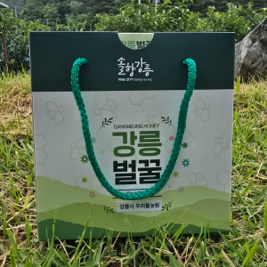 국산꿀 야생 천연 아카시아스틱꿀 12g 30개입 휴대용 부모님선물 효능 산지식송 스틱 1호